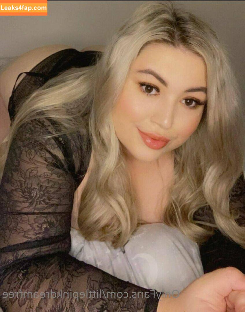 littlepinkdreamfree / lilpink3y leaked photo photo #0038