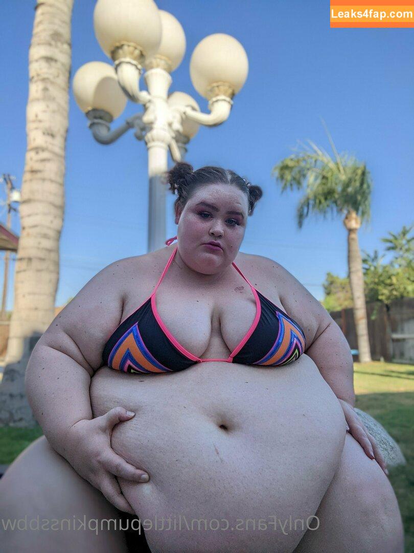 littlepumpkinssbbw /  leaked photo photo #0022