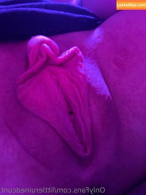 littleruinedcunt photo #0003