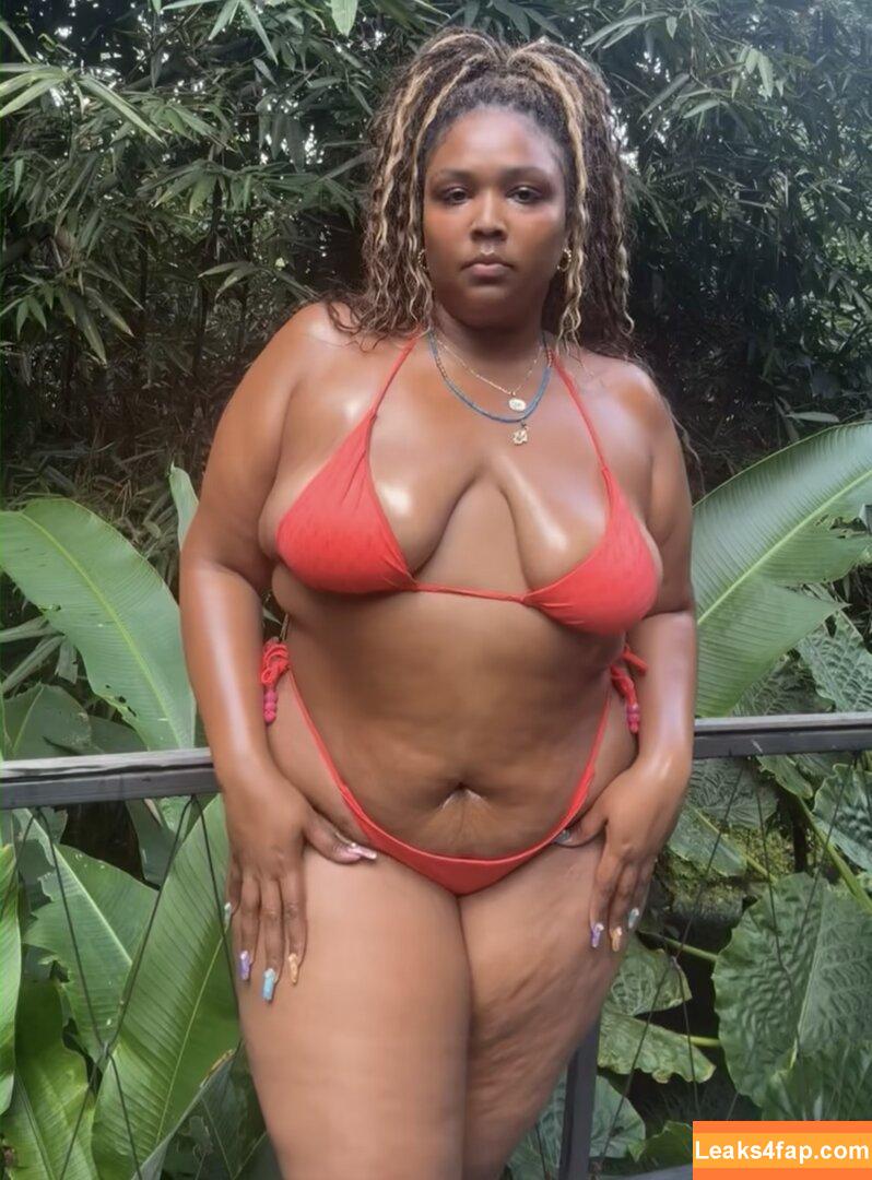 Lizzo / lizzobeeating leaked photo photo #0077