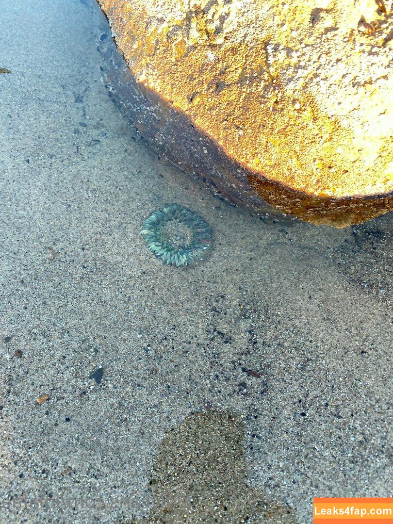 Lola Fae / dominalolafae / lolafaexxx leaked photo photo #0992