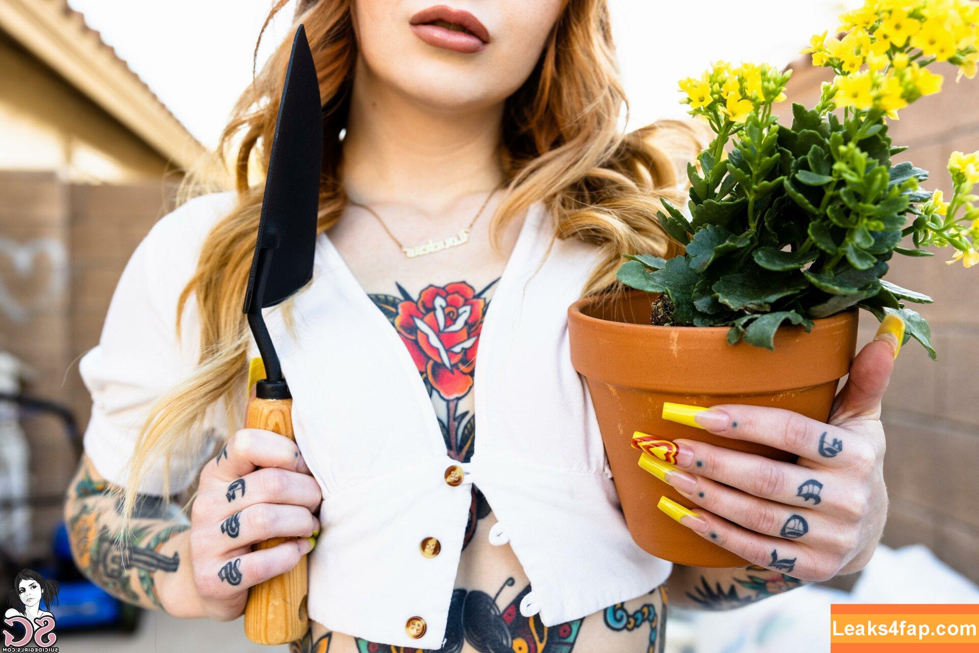 Loveless / lovelesssuicide слитое фото фото #0381