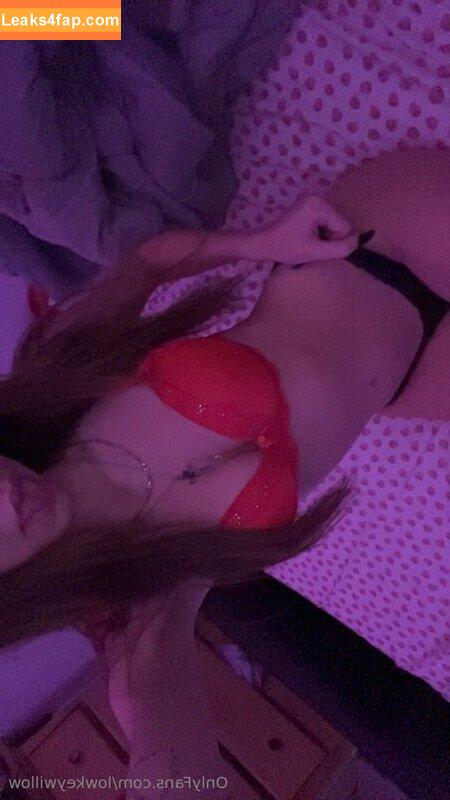 lowkeywillow free nudes