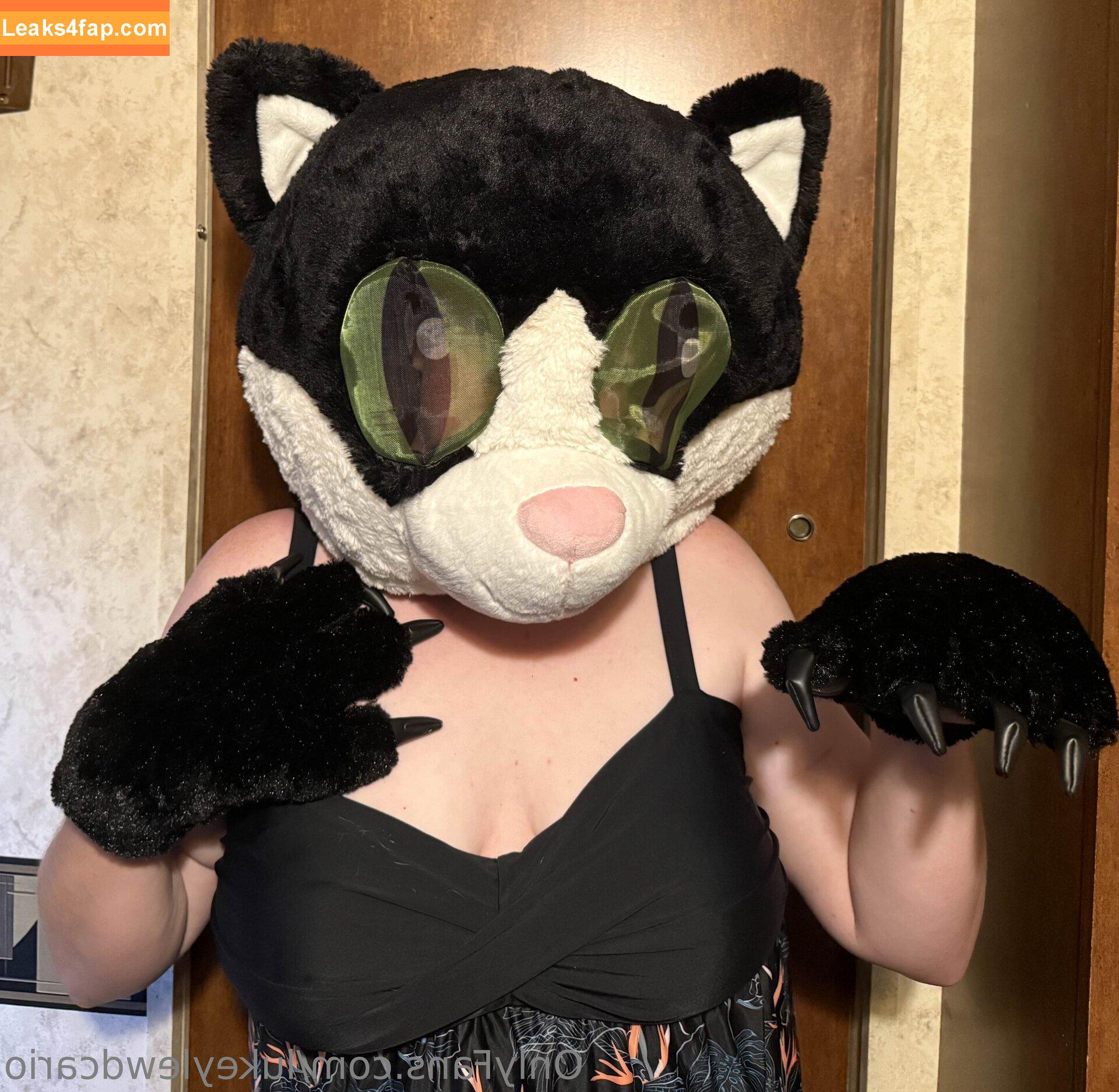 lukeylewdcario / lootcharlie leaked photo photo #0085