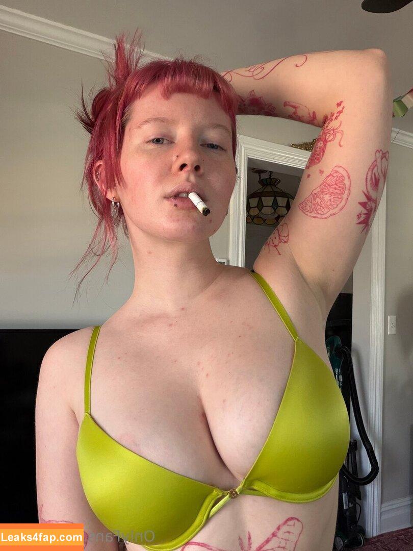 Luvliii / meatloafyyy / shmeatloafyyy leaked photo photo #0296