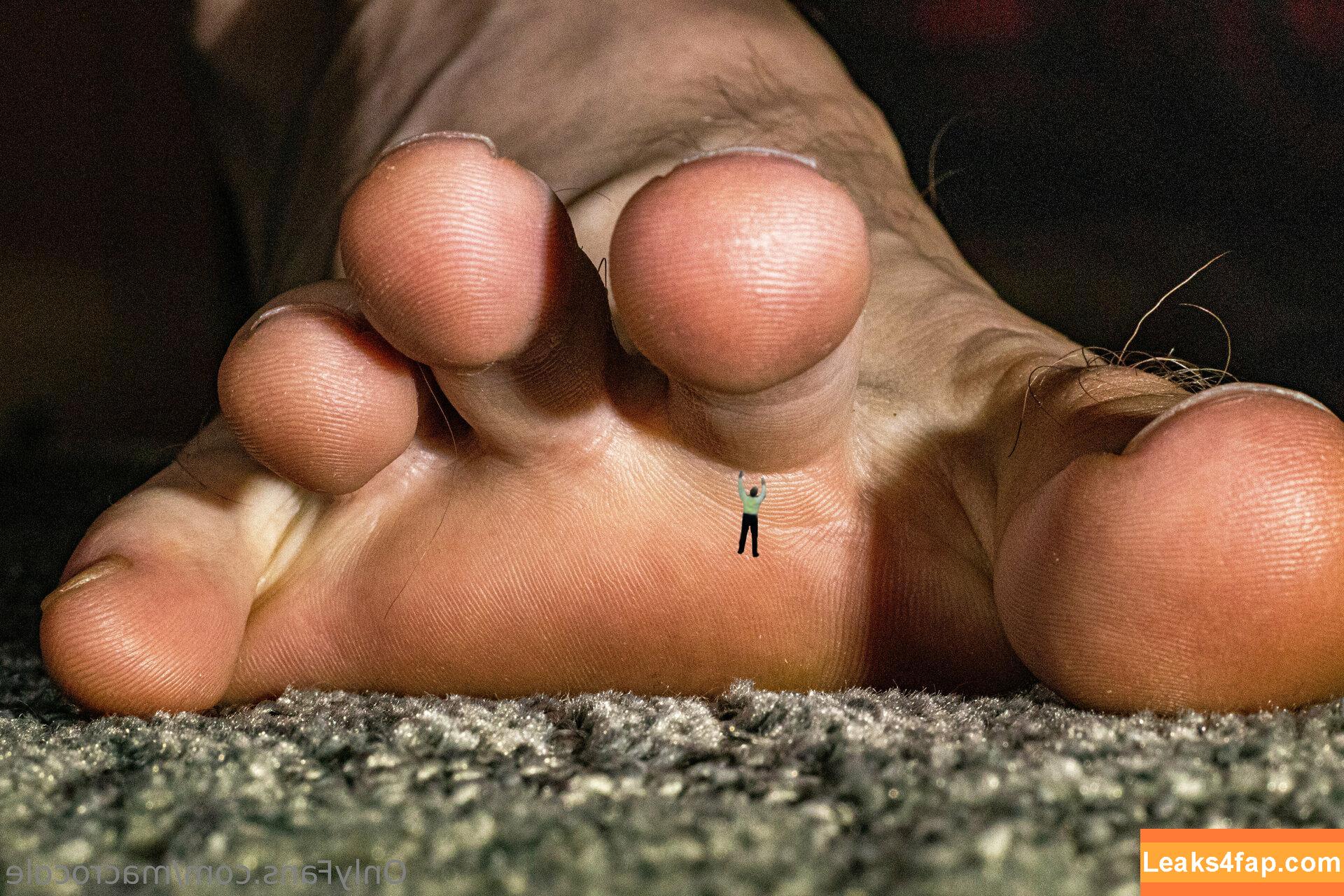 macrocole / jill.mccorkle leaked photo photo #0005
