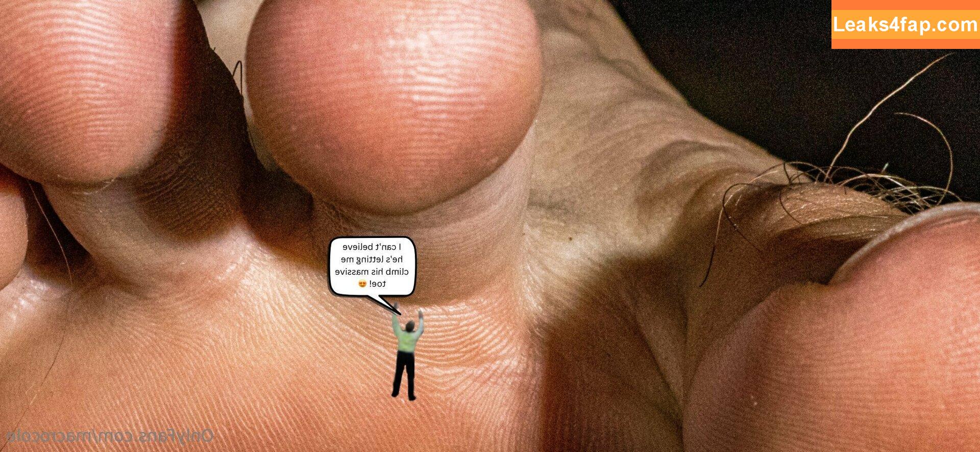 macrocole / jill.mccorkle leaked photo photo #0006