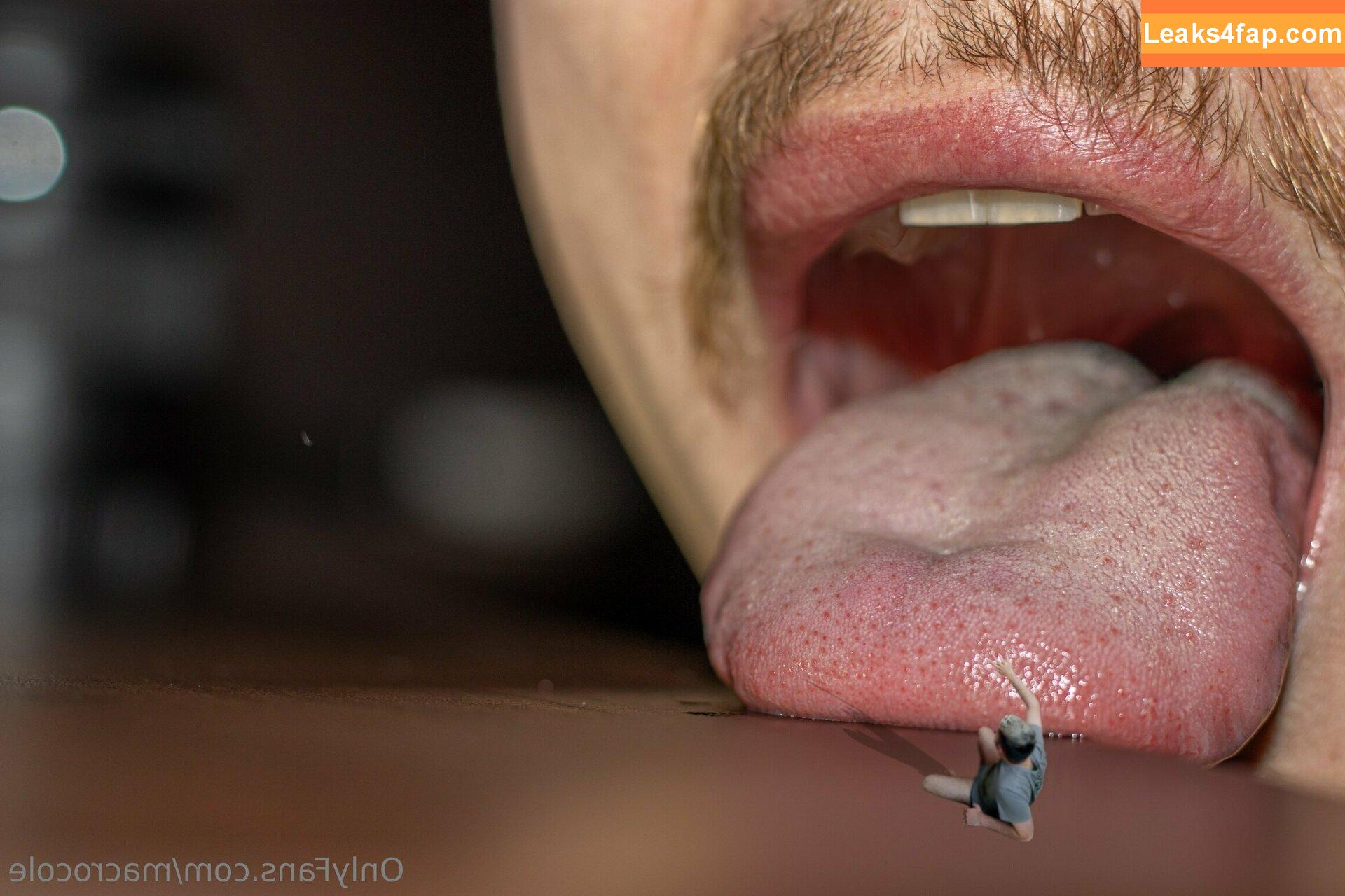 macrocole / jill.mccorkle leaked photo photo #0011