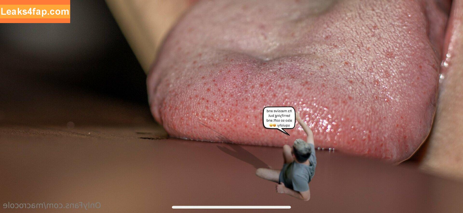 macrocole / jill.mccorkle leaked photo photo #0012