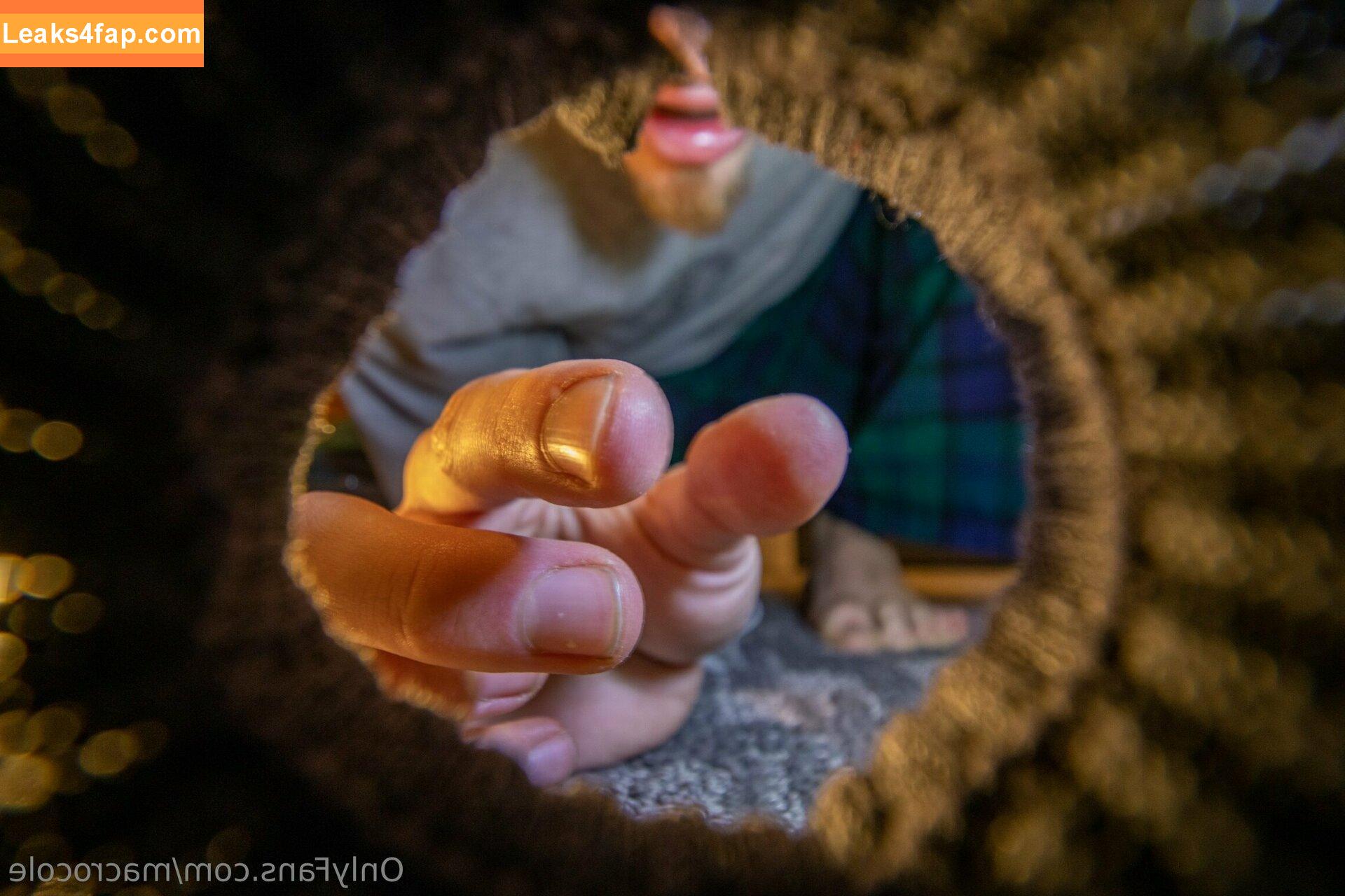 macrocole / jill.mccorkle leaked photo photo #0015
