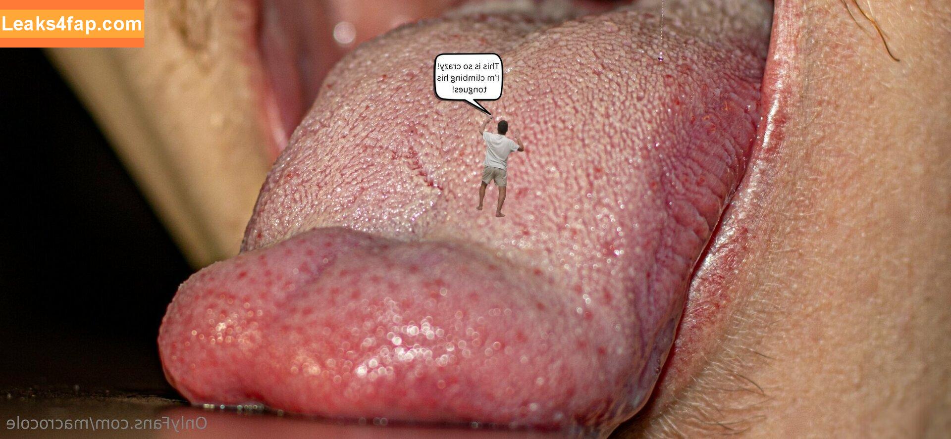 macrocole / jill.mccorkle leaked photo photo #0034