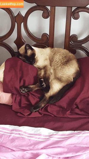 Magui Sunshine photo #0462