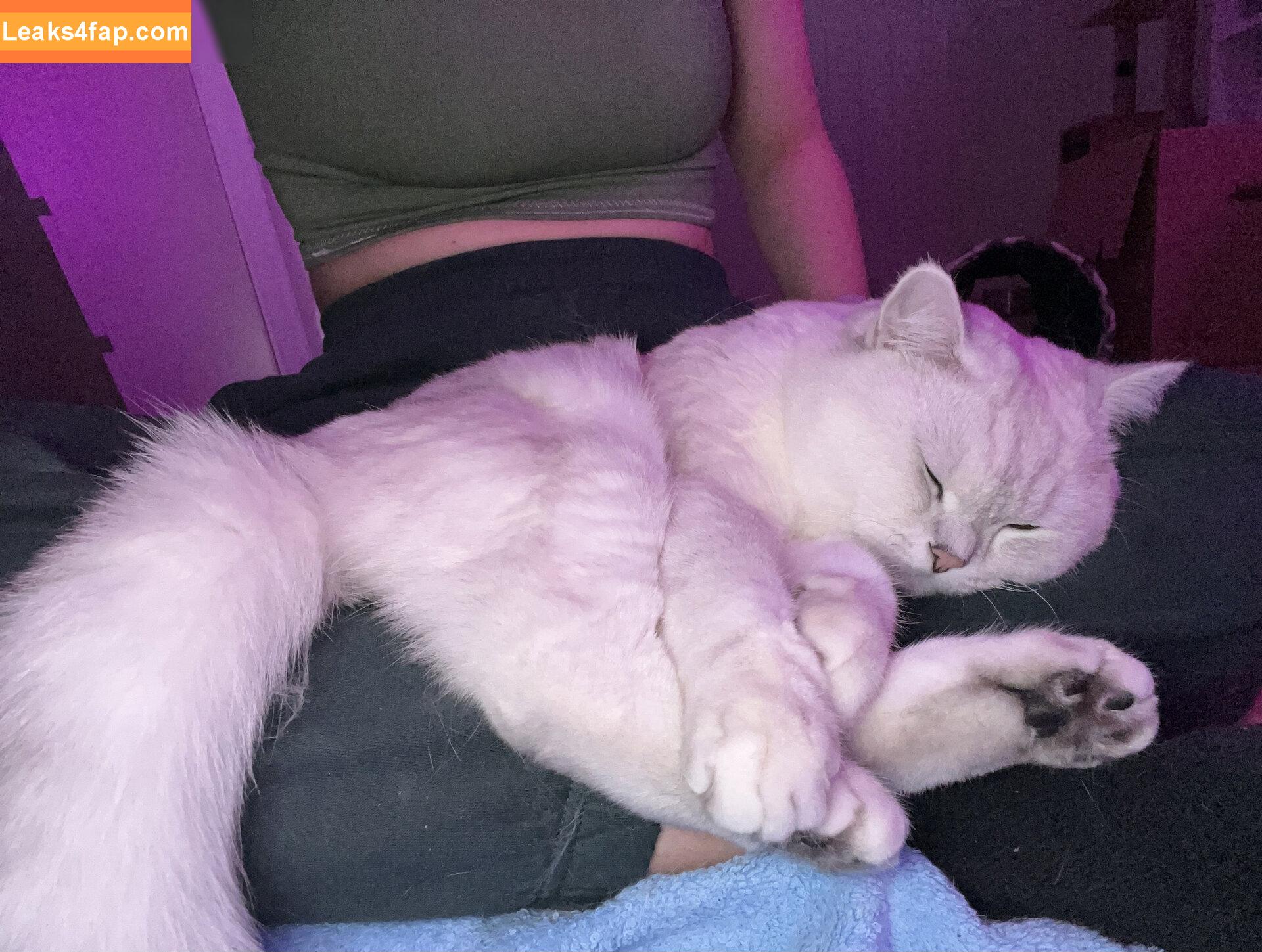Maji / ilovebitterlife / majijej / officialmajicjames leaked photo photo #0443
