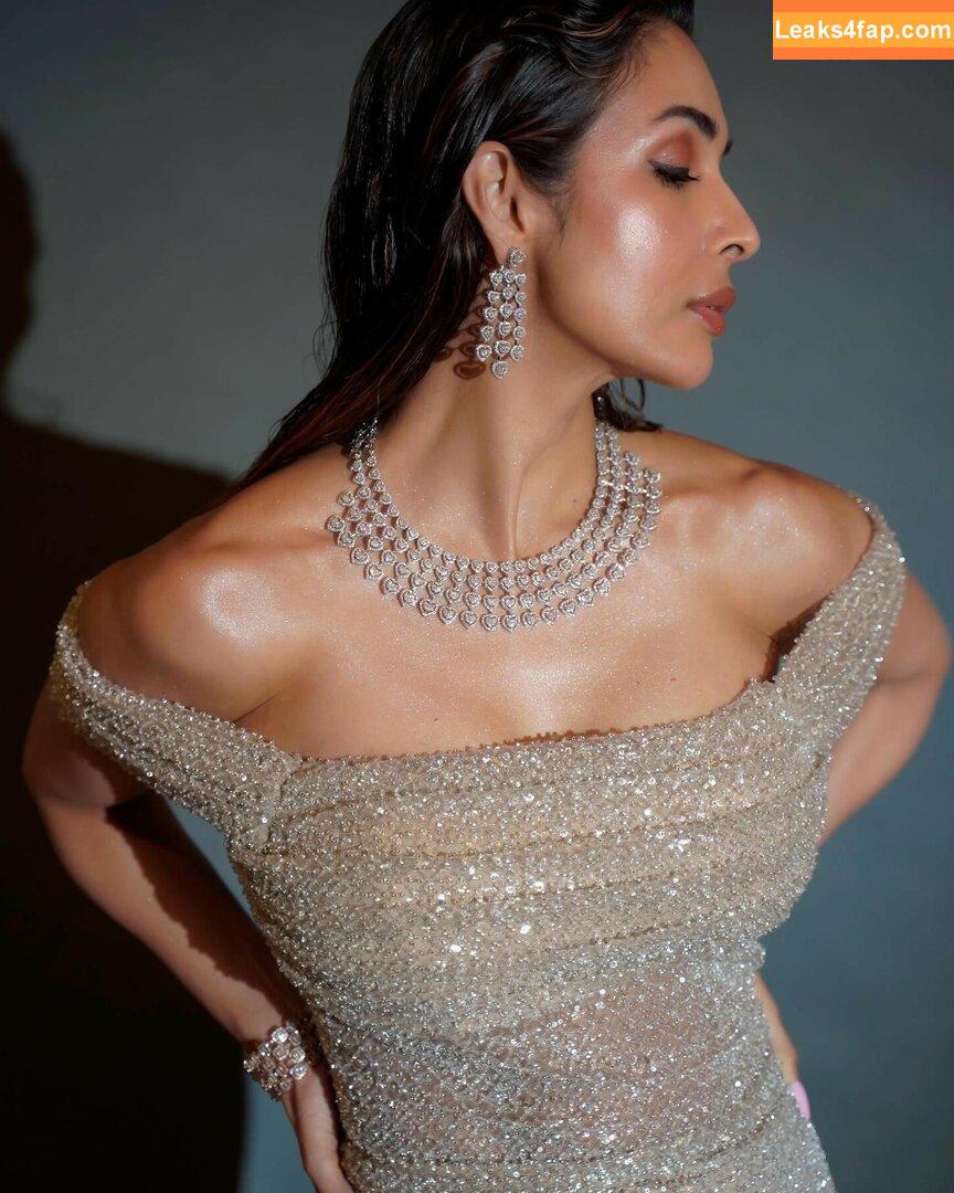 Malaika Arora / malaikaaroraofficial leaked photo photo #0056