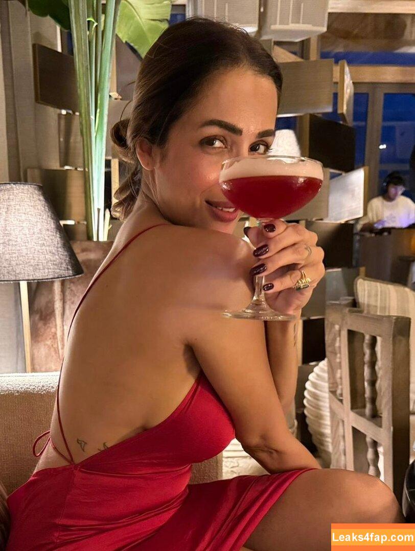 Malaika Arora / malaikaaroraofficial leaked photo photo #0095