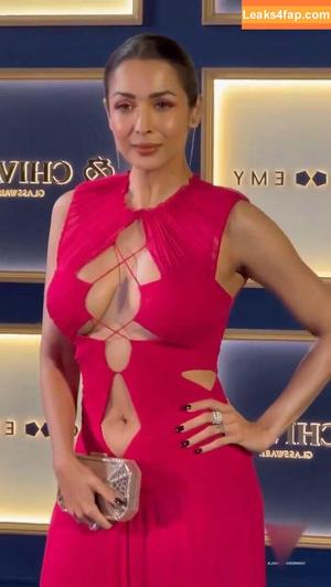 Malaika Arora photo #0110