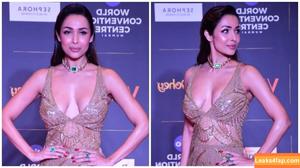 Malaika Arora photo #0124