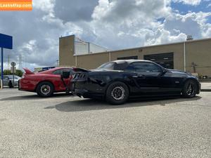 maloriewoods photo #0088