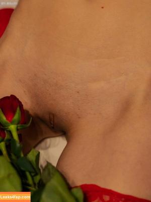 Mangostückchen photo #0461