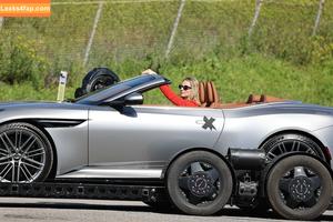 Margot Robbie photo #1660