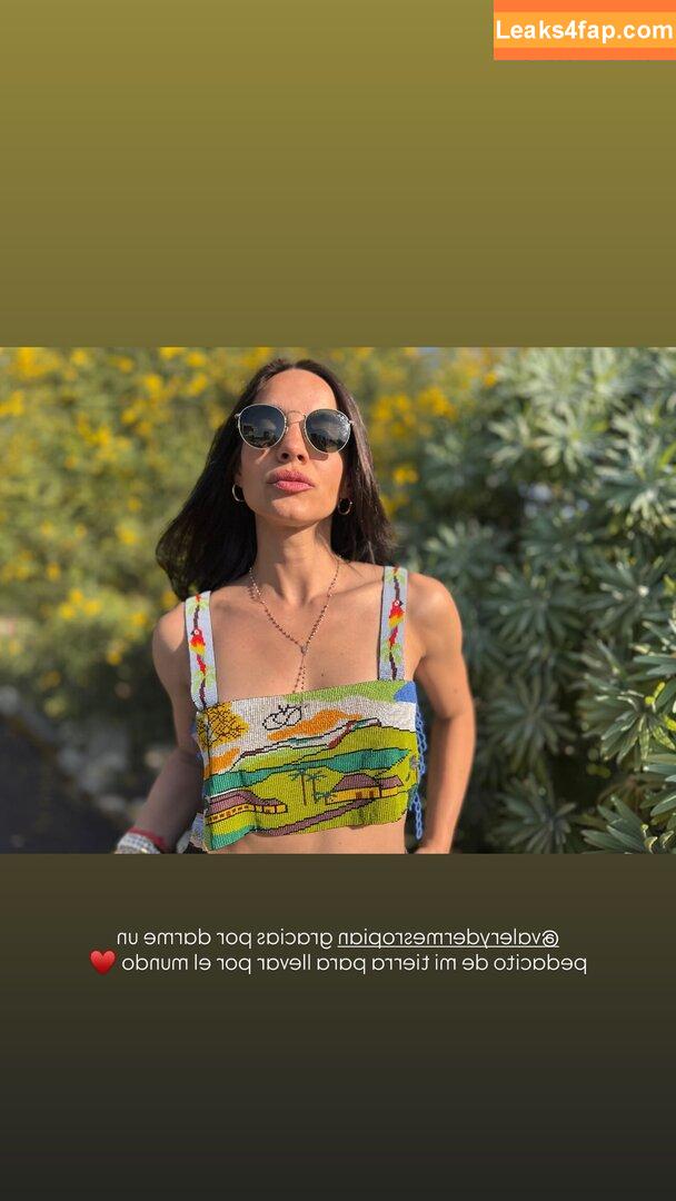 Maria Gabriela De Faria / thefaria leaked photo photo #0131