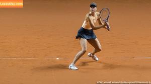 Maria Sharapova photo #0054