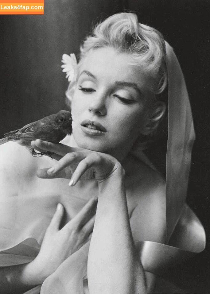 Marilyn Monroe / bustedsugar / marilynmonroe leaked photo photo #0193