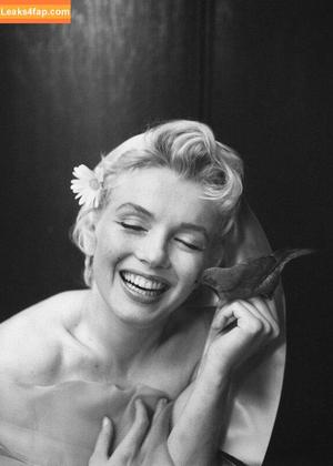 Marilyn Monroe photo #0192