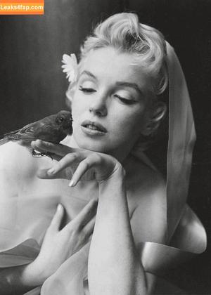 Marilyn Monroe photo #0193