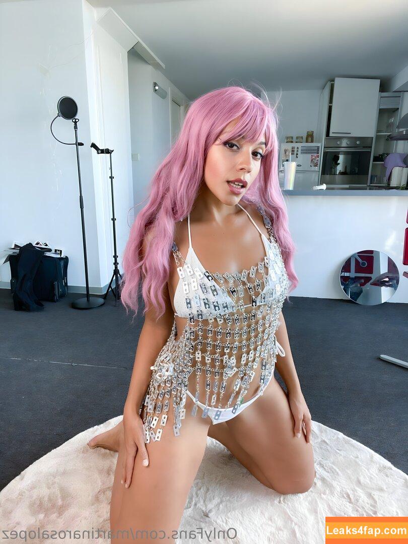 martinarosalopez / martinarosaalopez leaked photo photo #0104
