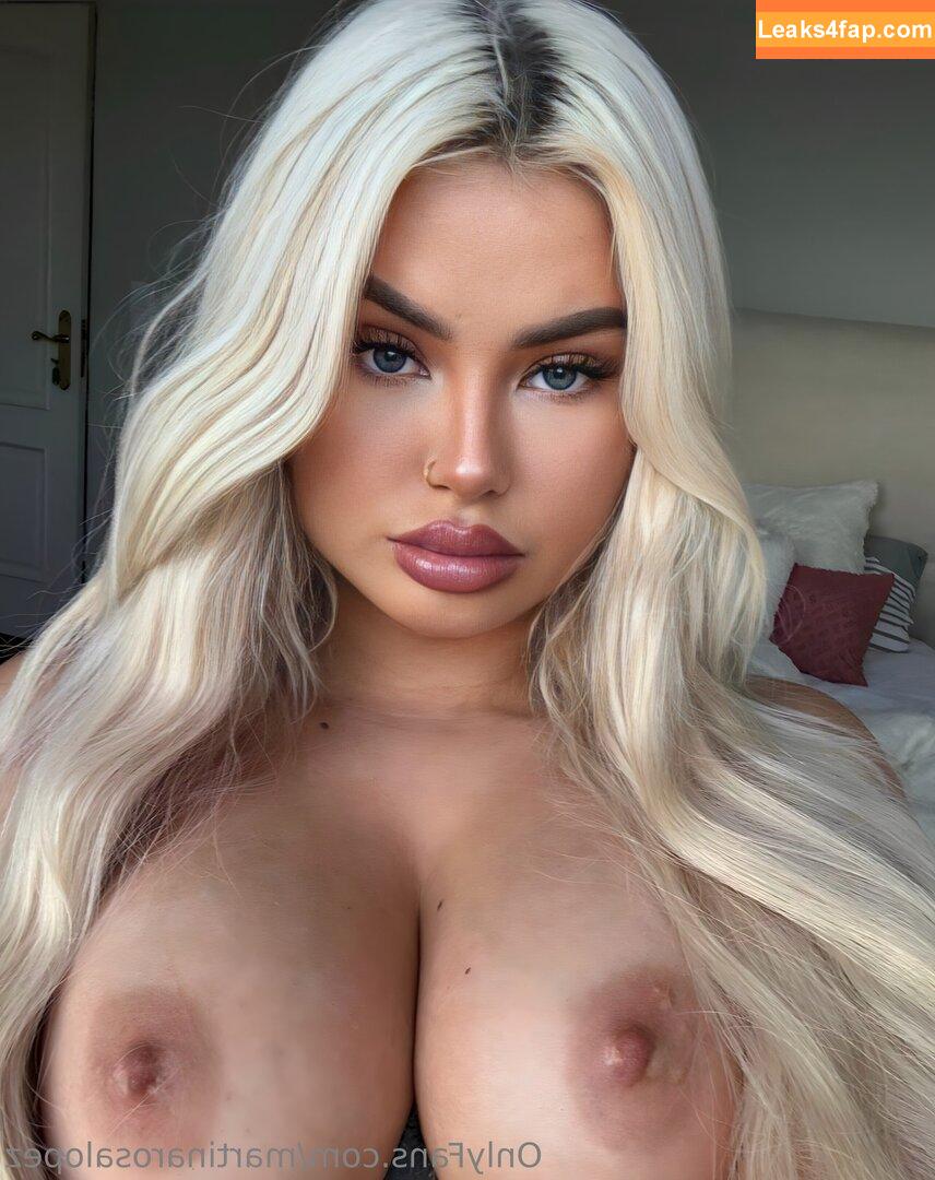 martinarosalopez / martinarosaalopez leaked photo photo #0115