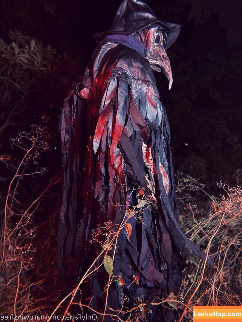 maruwinsfree / win_stagraham leaked photo photo #0215