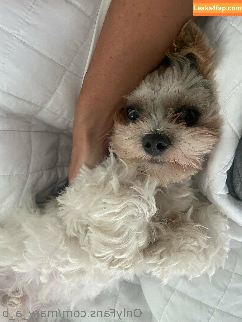 mary_a_b /  leaked photo photo #0081