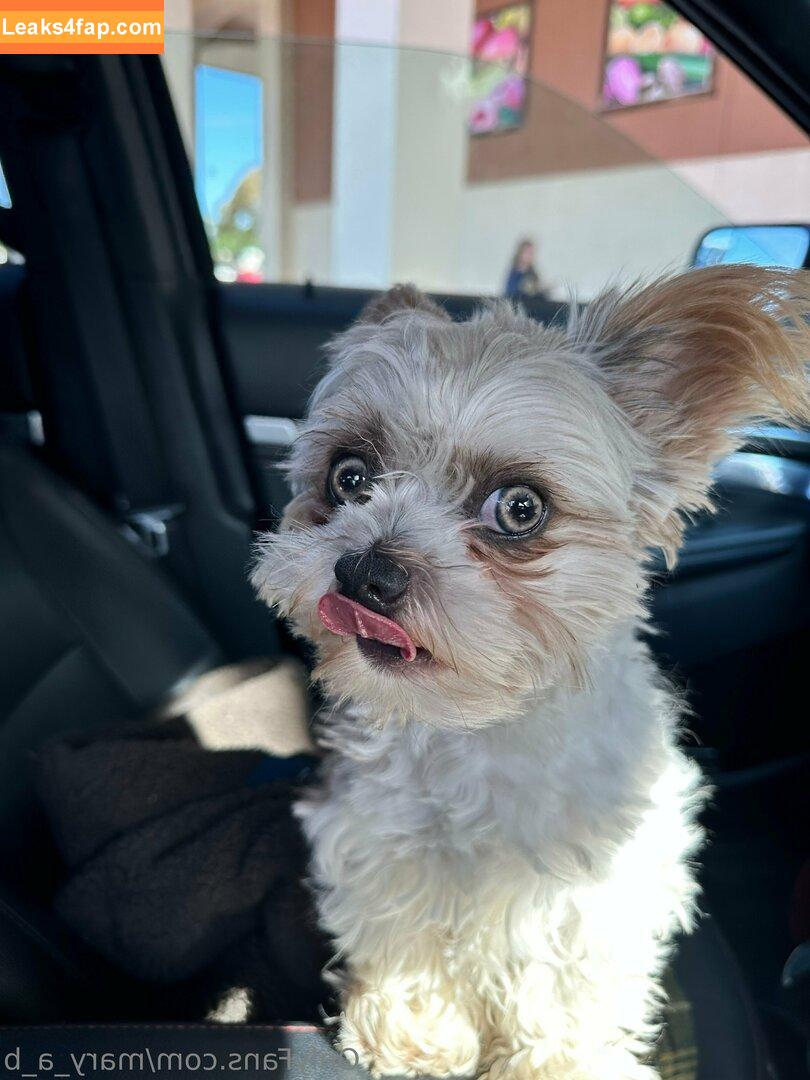 mary_a_b /  leaked photo photo #0130