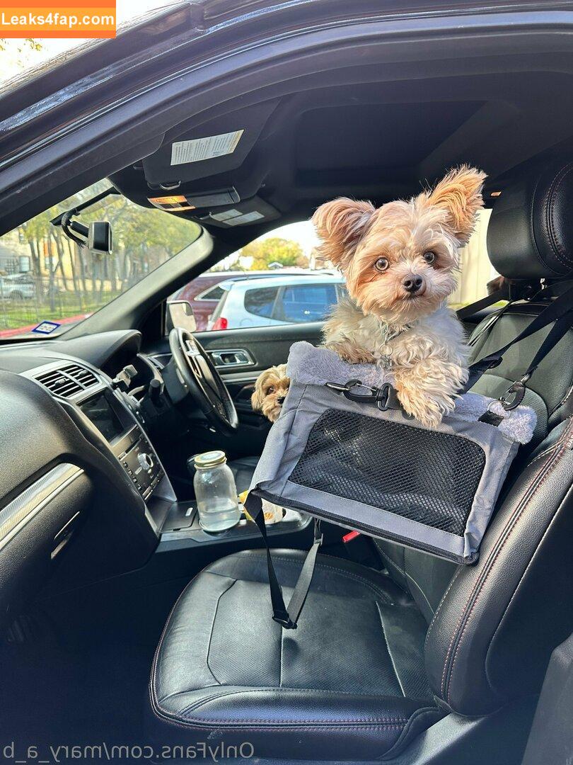 mary_a_b /  leaked photo photo #0138