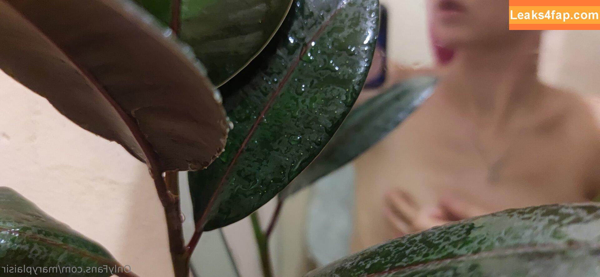 maryplaisir /  leaked photo photo #0010