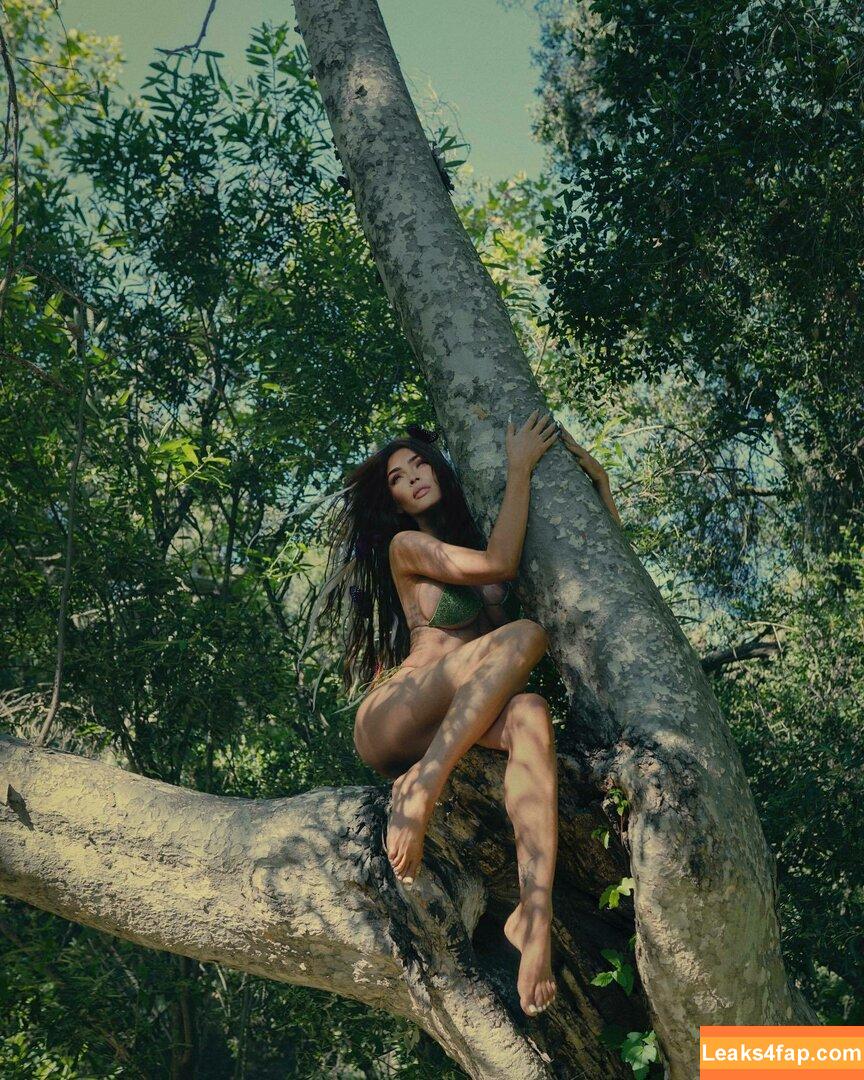 Megan Fox / fatmeganfox / meganfox слитое фото фото #0775