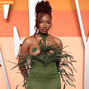 Megan The Stallion photo #0009