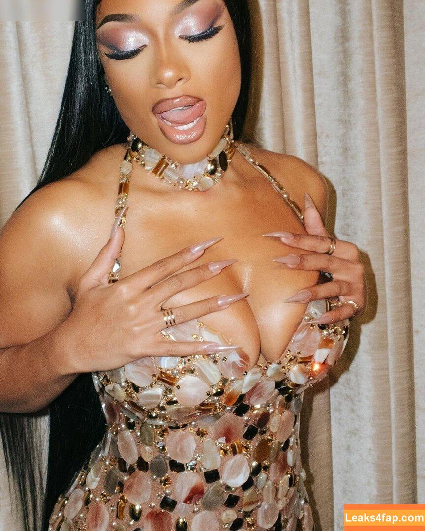 Megan Thee Stallion / megan_renee316 / theestallion leaked photo photo #1180