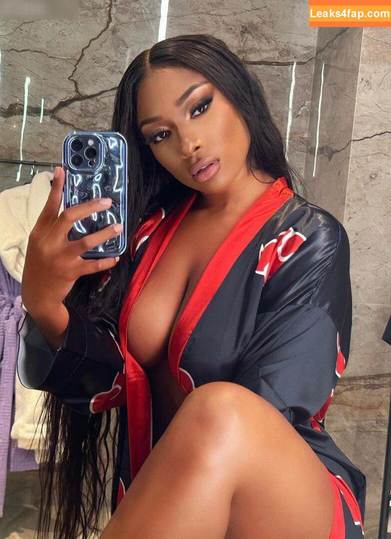 Megan Thee Stallion / megan_renee316 / theestallion слитое фото фото #1189