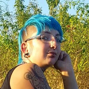 random model