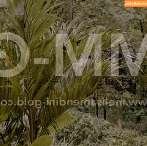 Melisa Mendini photo #0360