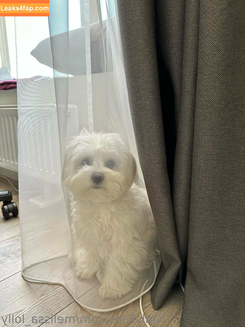 melissa_lolly / lollyhullet слитое фото фото #0042