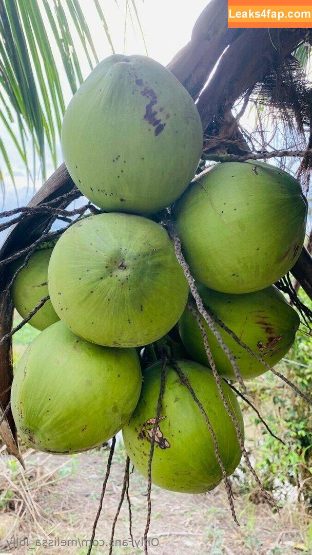 melissa_lolly / lollyhullet leaked photo photo #0057