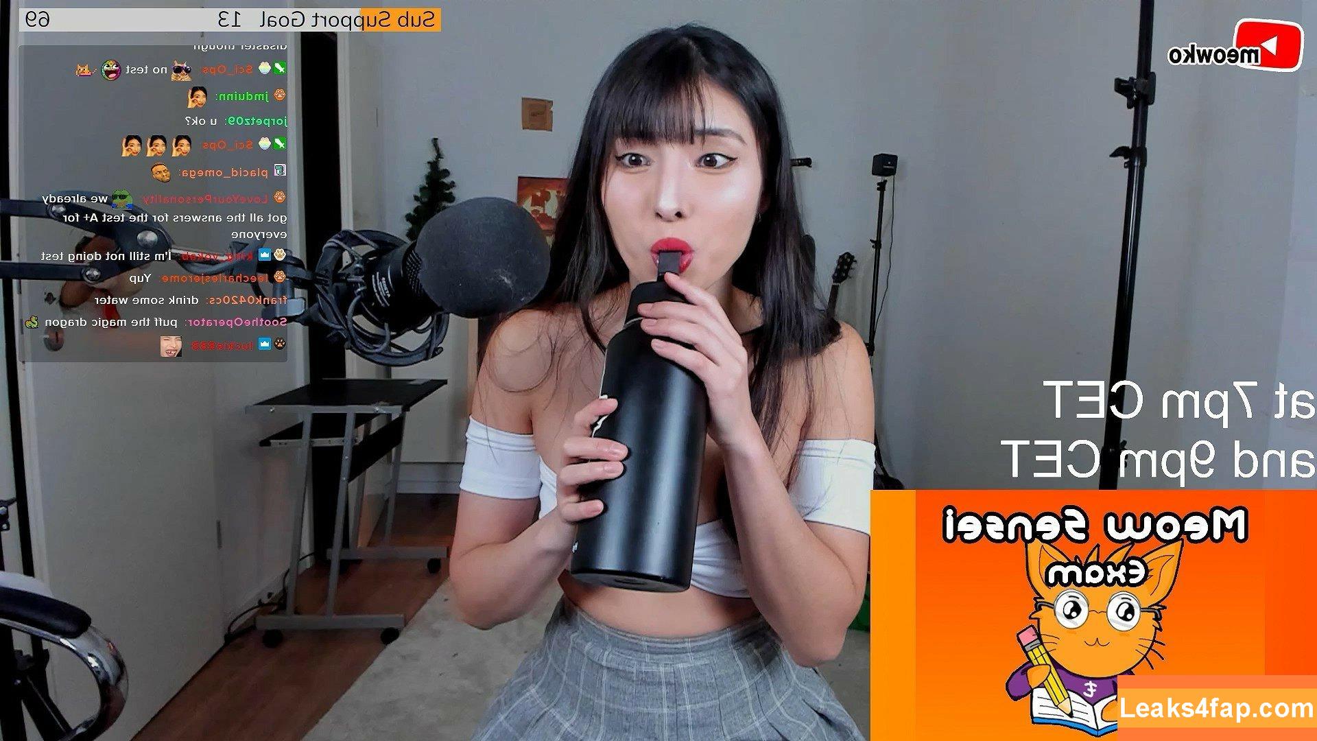 Meowko / meowkolol слитое фото фото #0266