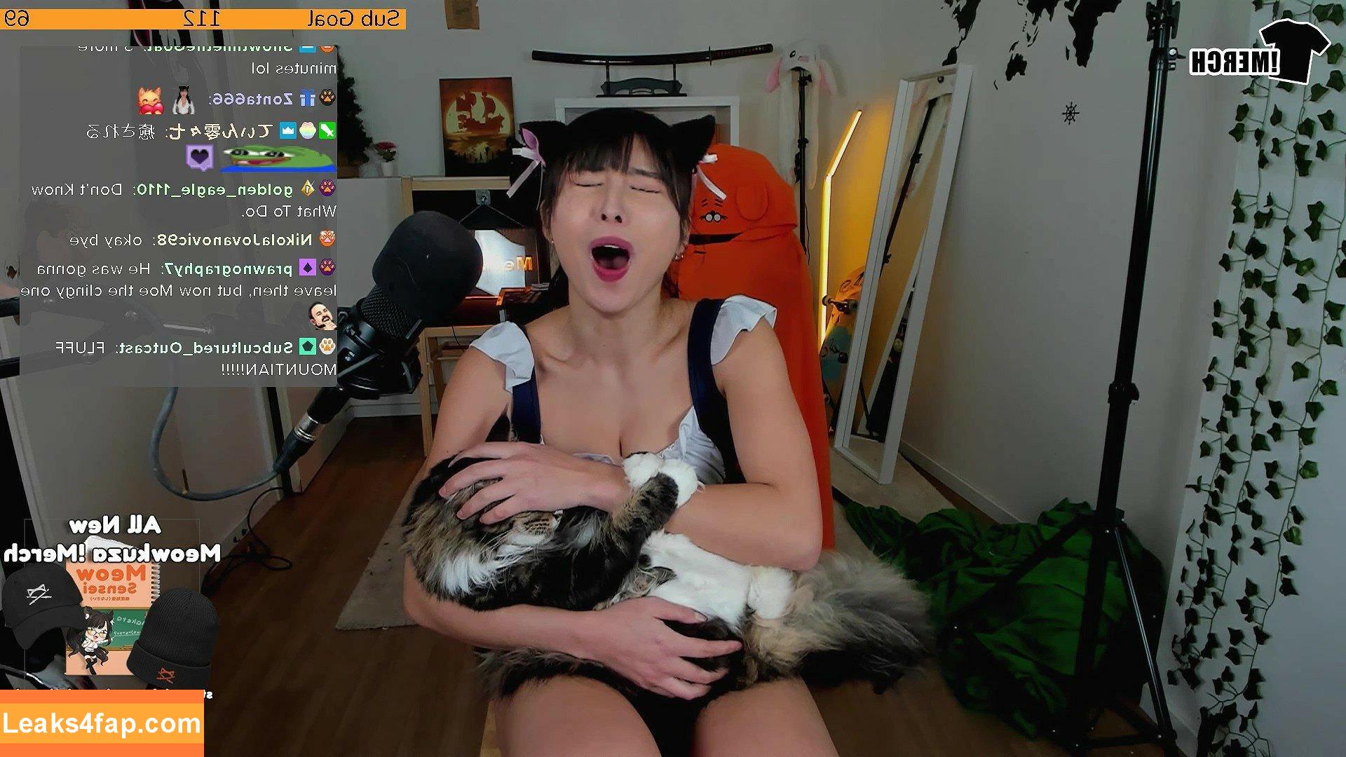 Meowko / meowkolol слитое фото фото #0410