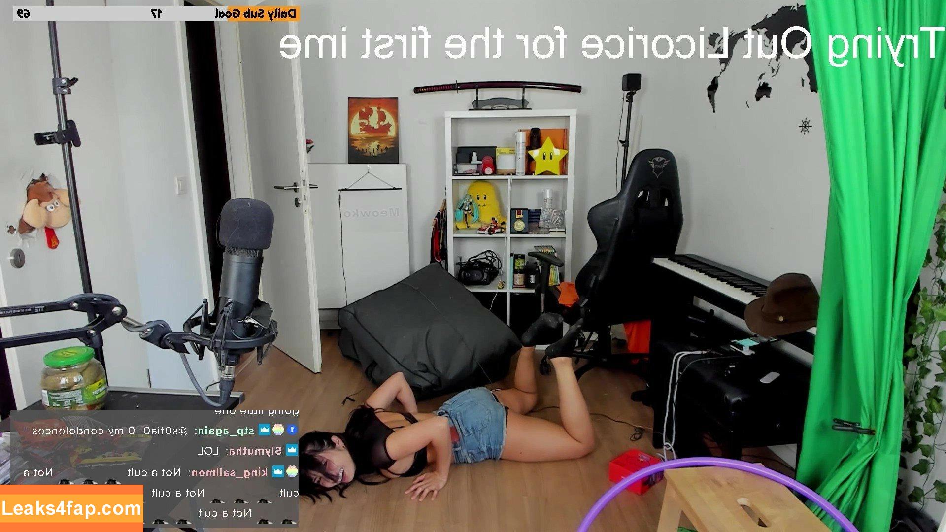 Meowko / meowkolol слитое фото фото #0934