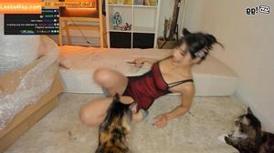 Meowko фото #0036