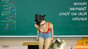 Meowko фото #0069