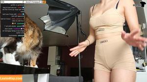 Meowko фото #0138